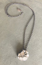 Load image into Gallery viewer, A Dozen