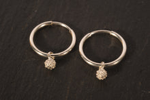 Load image into Gallery viewer, waxberry simple hoops - gold filled with silver berry
